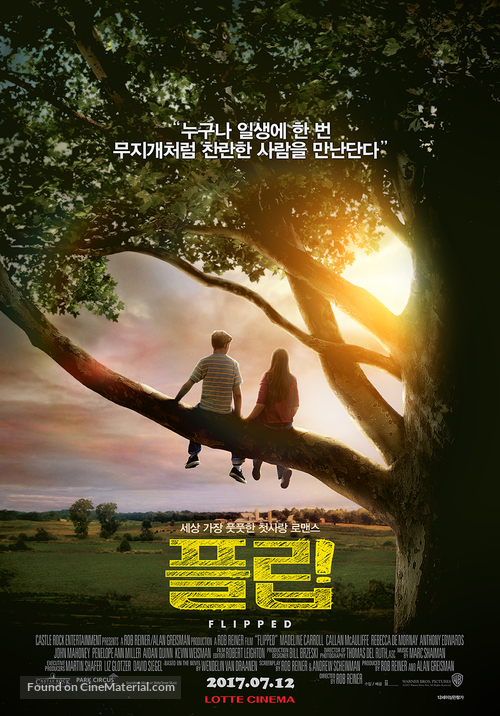 Flipped - South Korean Movie Poster