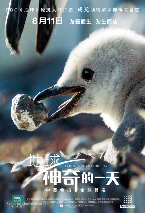Earth: One Amazing Day - Chinese Movie Poster