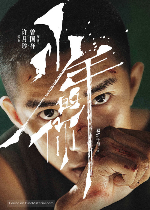 Shao nian de ni - Chinese Movie Poster