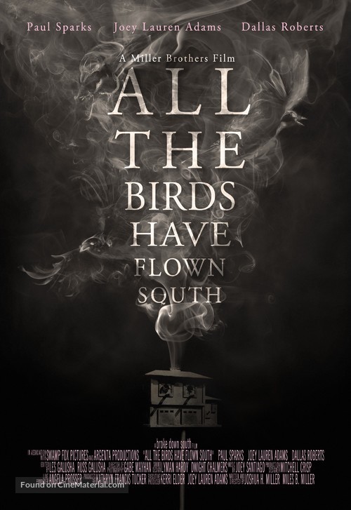 All the Birds Have Flown South - Movie Poster