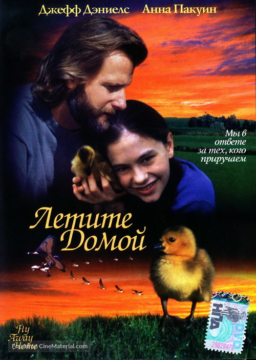 Fly Away Home - Russian DVD movie cover