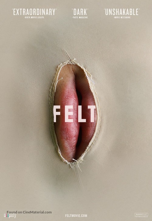 Felt - Movie Poster