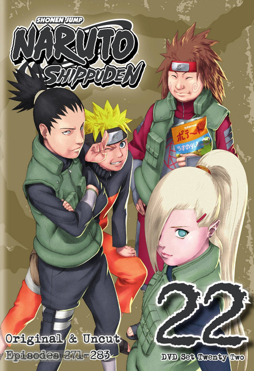 &quot;Naruto: Shipp&ucirc;den&quot; - DVD movie cover