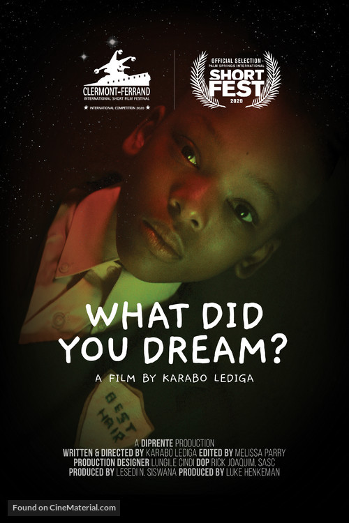 What Did You Dream? - South African Movie Poster
