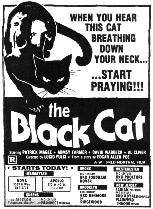 Black Cat (Gatto nero) - Movie Poster
