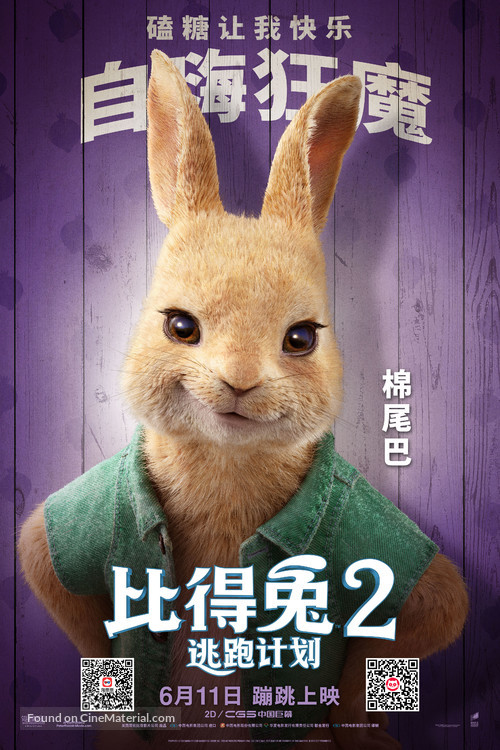 Peter Rabbit 2: The Runaway - Chinese Movie Poster