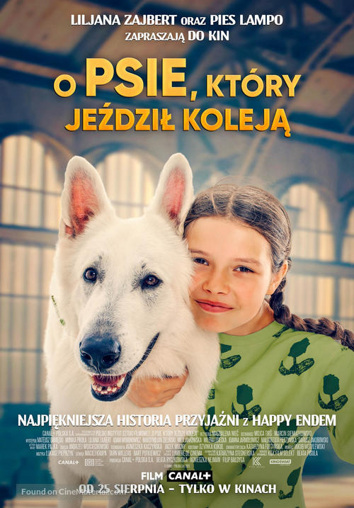 O psie, kt&oacute;ry jezdzil koleja - Polish Movie Poster