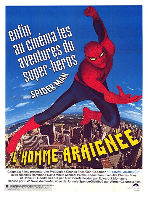 &quot;The Amazing Spider-Man&quot; - French Movie Poster