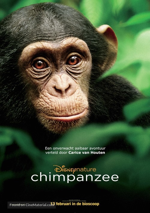 Chimpanzee - Dutch Movie Poster