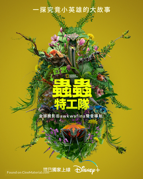 &quot;A Real Bug&#039;s Life&quot; - Hong Kong Movie Poster