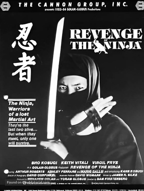 Revenge Of The Ninja - poster