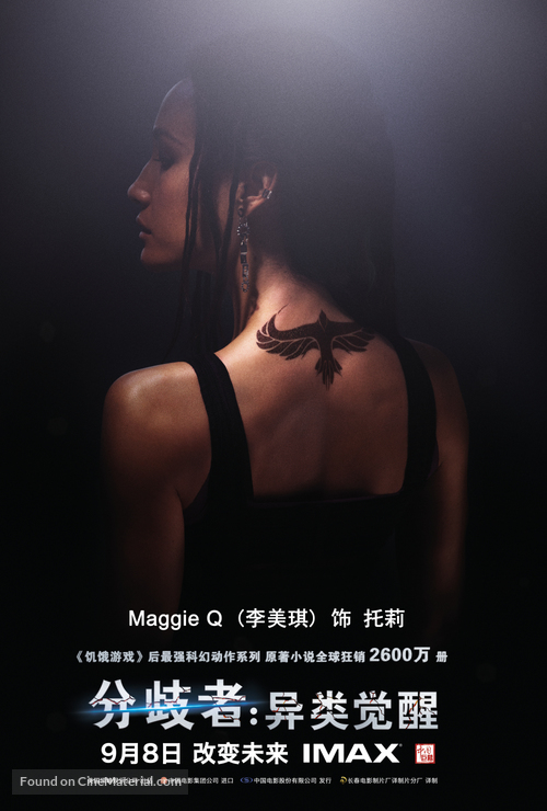 Divergent - Chinese Movie Poster