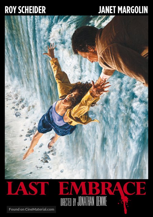 Last Embrace - DVD movie cover