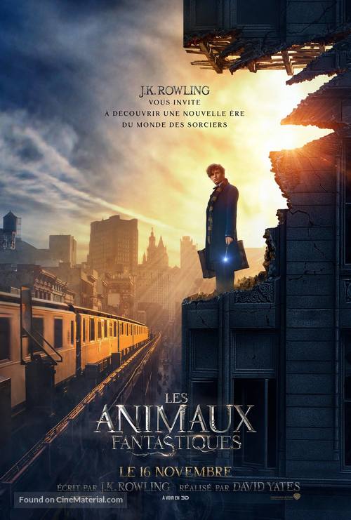 Fantastic Beasts and Where to Find Them - French Movie Poster