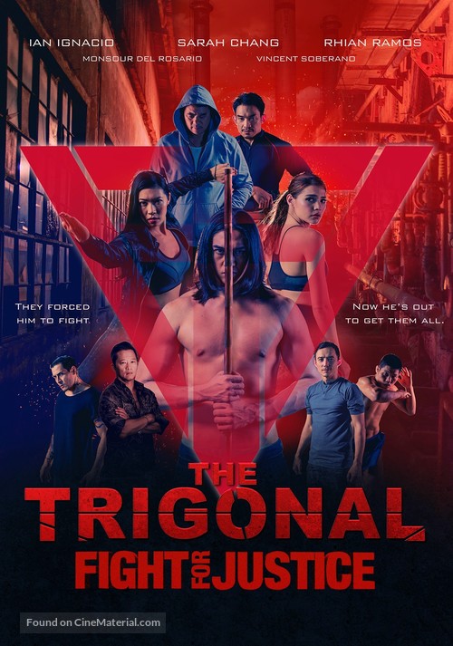 The Trigonal: Fight for Justice - DVD movie cover