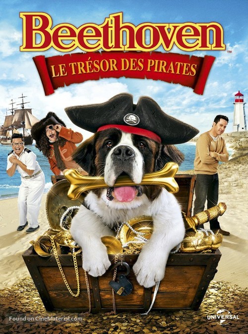 Beethoven&#039;s Treasure - French DVD movie cover