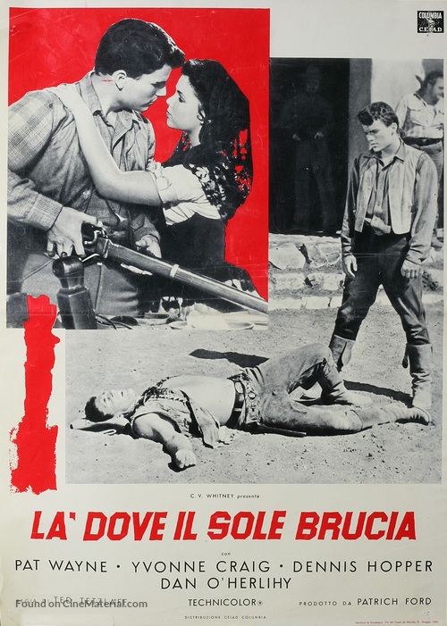 The Young Land - Italian Movie Poster