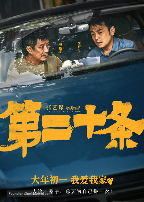 Di er shi tiao - Chinese Movie Poster