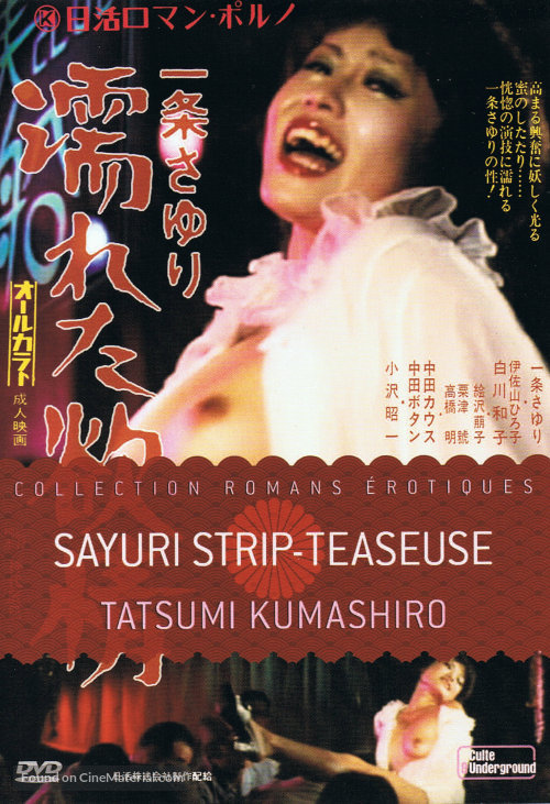 Ichijo Sayuri: Nureta yokujo - French DVD movie cover