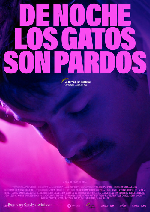 De noche los gatos son pardos - International Movie Poster