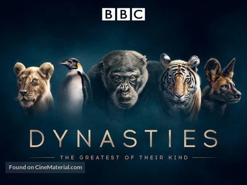 &quot;Dynasties&quot; - Movie Poster