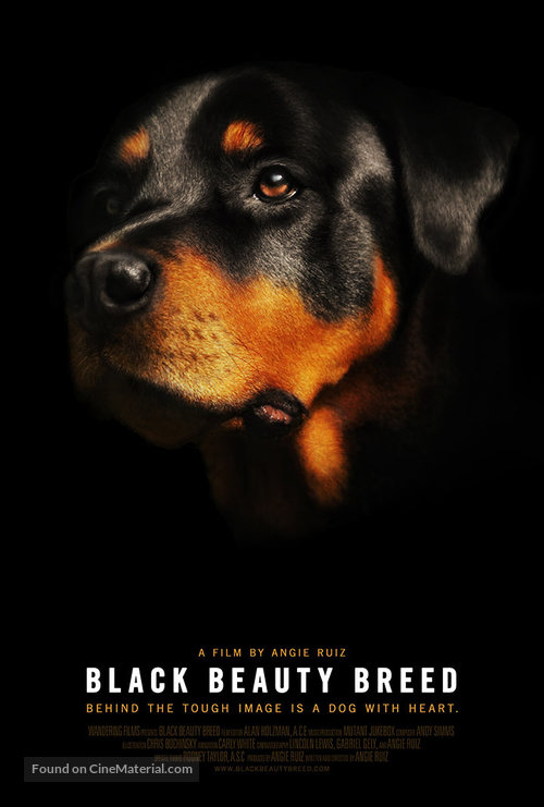 Black Beauty Breed - Movie Poster