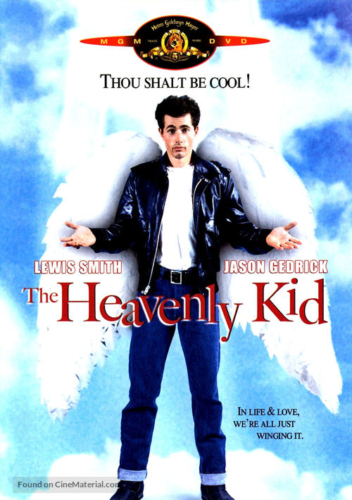 The Heavenly Kid - DVD movie cover