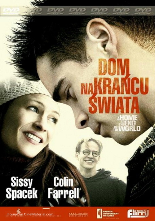 A Home at the End of the World - Polish DVD movie cover