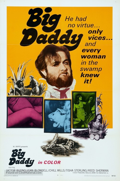 Big Daddy - Movie Poster