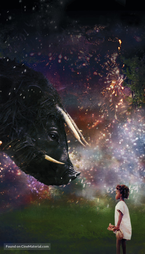 Beasts of the Southern Wild - Key art