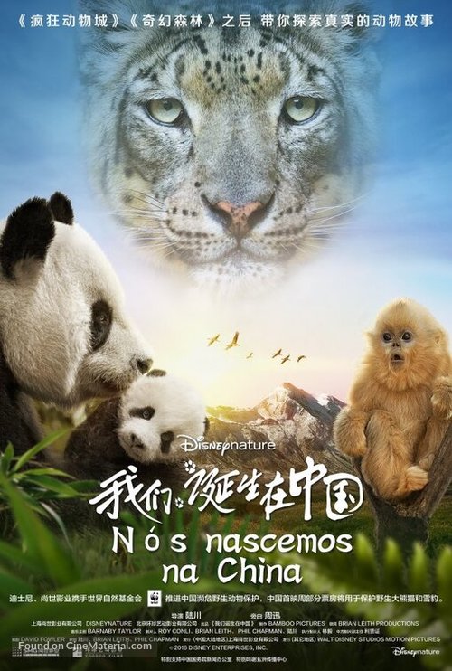 Born in China - Portuguese Movie Poster