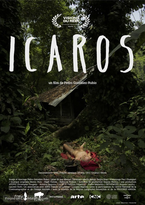 &Iacute;caros - French Movie Poster