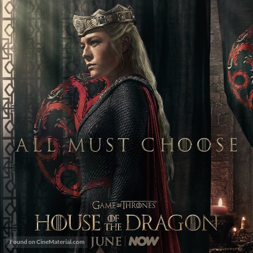 &quot;House of the Dragon&quot; - Irish Movie Poster