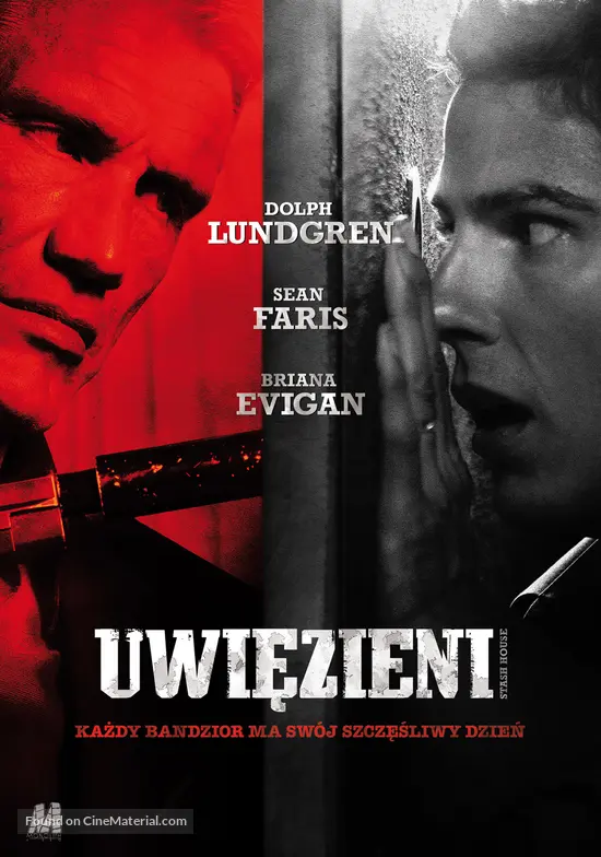 Stash House 2012 Polish Movie Cover