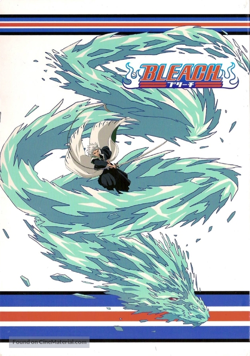 &quot;Bleach&quot; - French DVD movie cover