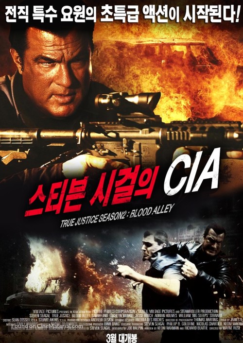 &quot;True Justice&quot; - South Korean Movie Poster