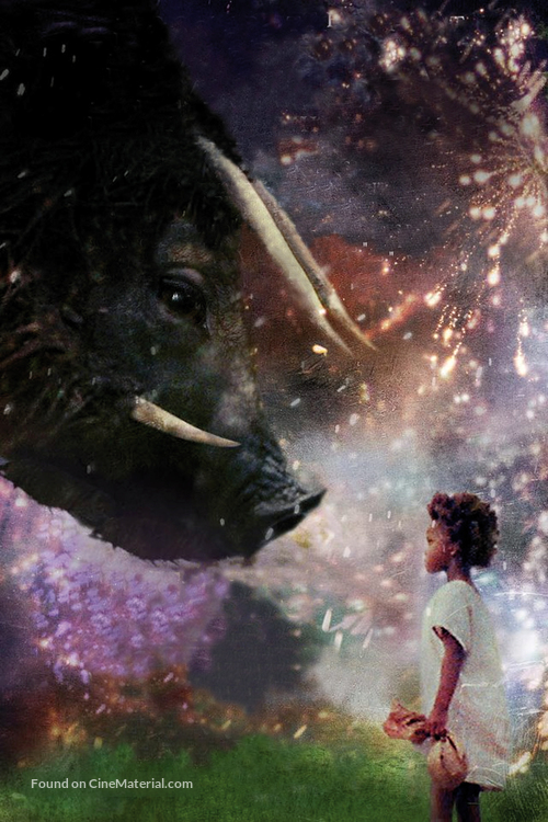 Beasts of the Southern Wild - Key art