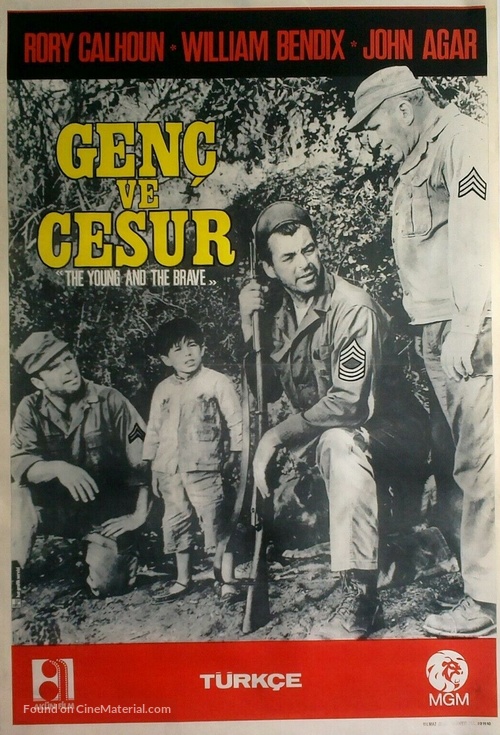 The Young and the Brave - Turkish Movie Poster