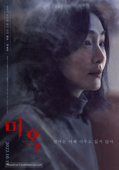 The Other Child - South Korean Movie Poster