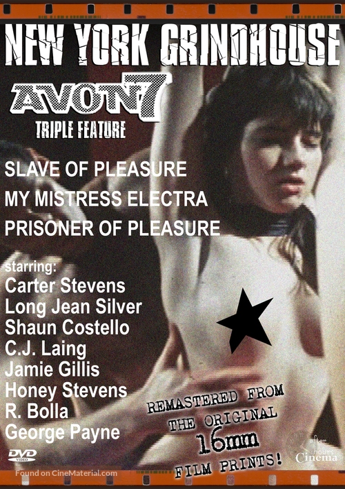 Slave of Pleasure - DVD movie cover