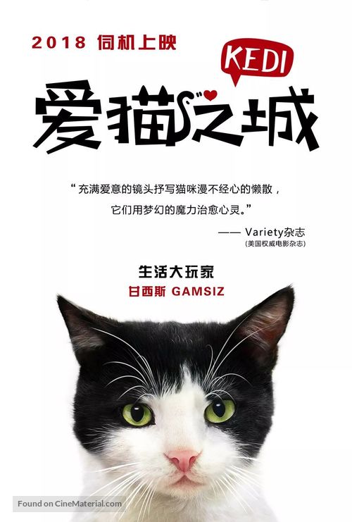 Kedi - Chinese Movie Poster