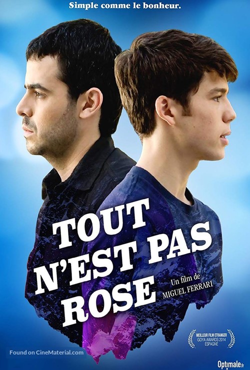 Azul y no tan rosa - French DVD movie cover