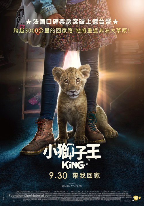 King - Taiwanese Movie Poster