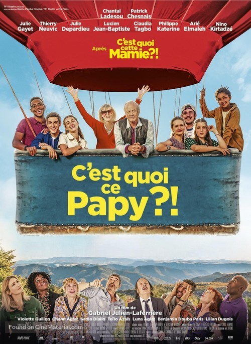 C&#039;est quoi ce papy?! - French Movie Poster