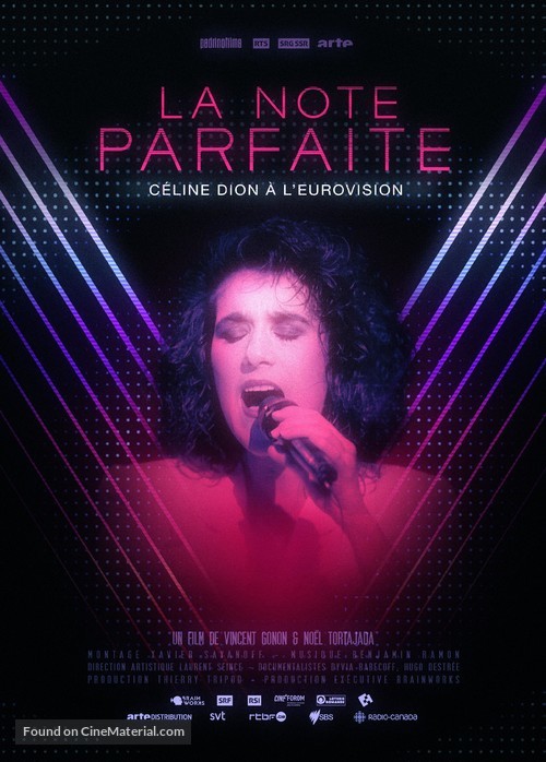 La note parfaite C&eacute;line Dion &agrave; l&#039;Eurovision - French Movie Poster