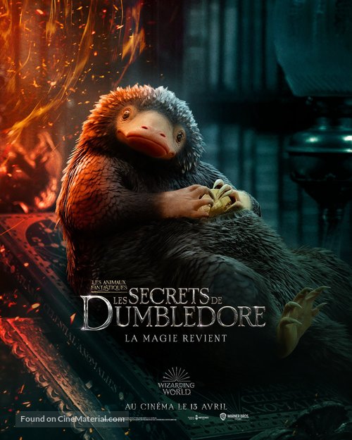 Fantastic Beasts: The Secrets of Dumbledore - French Movie Poster