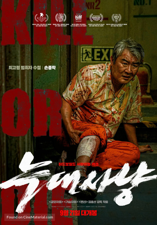 Neugdaesanyang - South Korean Movie Poster