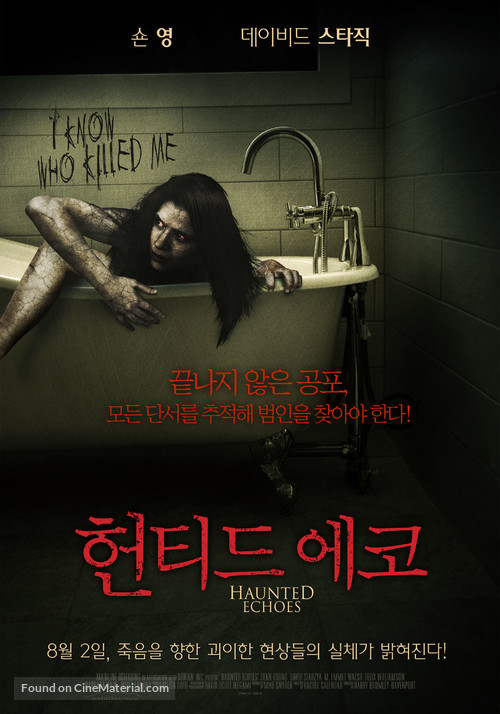 Haunted Echoes - South Korean Movie Poster