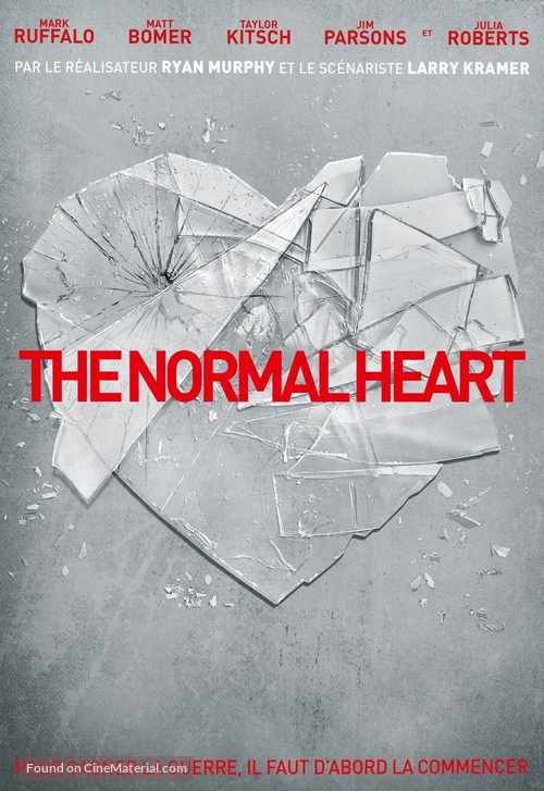 The Normal Heart - French DVD movie cover