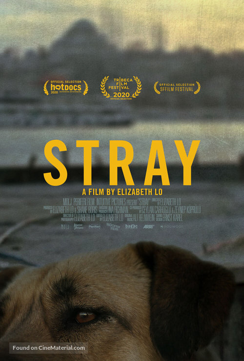 Stray - Movie Poster
